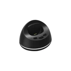 Charging Station for Pico 4G