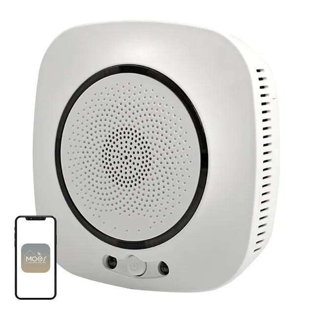 WSS-CO Wi-Fi-baserad kolmonoxidvarnare
