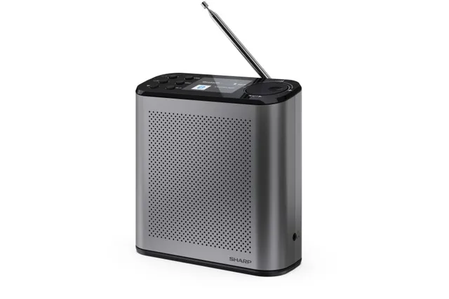 DR-P530 bärbar DAB+-radio, stormgrå