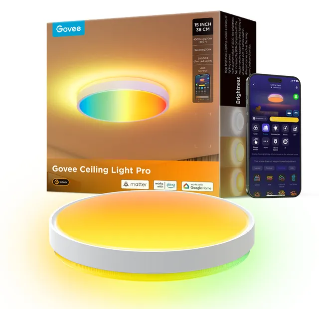 Ceiling Light Pro 38cm