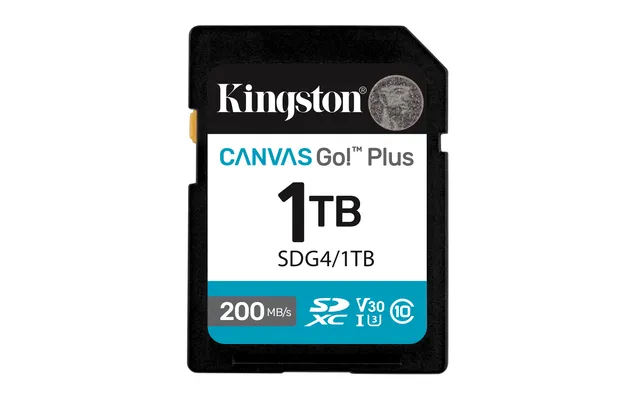 Canvas Go! Plus - Flash-minneskort - 1 TB - Video Class V30 / UHS-I U3 / Class10 - SDXC UHS-I