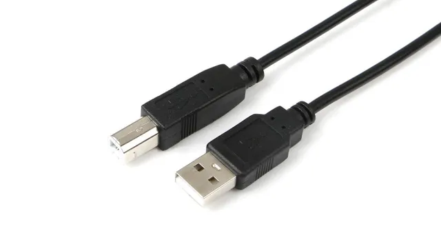 USB 2.0 - USB-kabel - USB typ B (hane