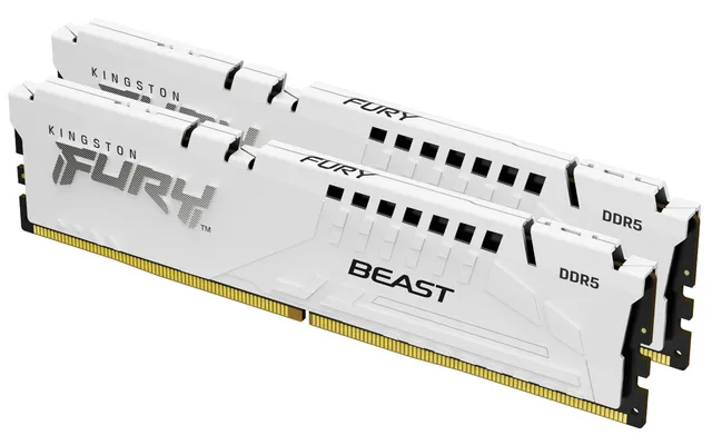 FURY Beast - DDR5 - sats - 32 GB: 2 x 16