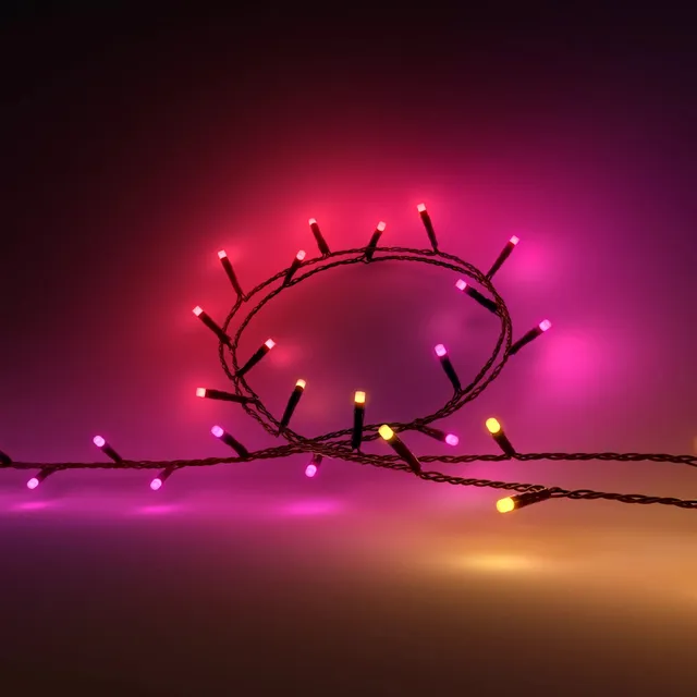 Hue Festavia ljusslinga Inom-/utomhus 500 LED 40m