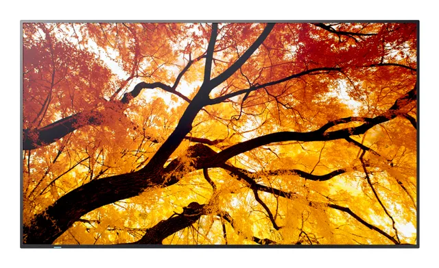- 75" Diagonal klass (74.5" visbar) - PN-M S