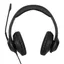 AEH102GL headset (svart)