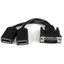 20 cm DMS-59 till Dual DisplayPort-adapterkabel - 4K x 2K Video - LFH DMS 59-stift (M) till 2x DisplayPort 1.2 (F) Y-splitterkabel - LFH-graf