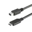1m / 3.3ft USB-C to Mini DisplayPort Cabl