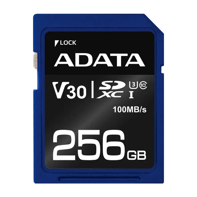 Premier Pro - Flash-minneskort - 256 GB - Vi