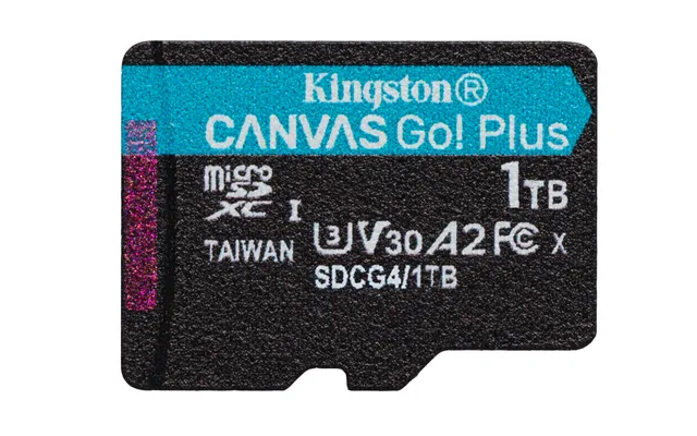 Canvas Go! Plus - Flash-minneskort - 1 TB - A2 / Video Class V30 / UHS-I U3 / Class10 - mikroSDXC UHS-I