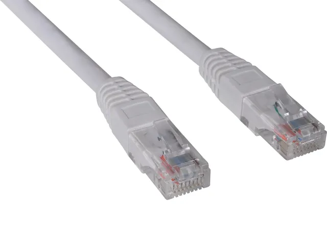 SAVER - Patch-kabel - RJ-45 (hane) till R