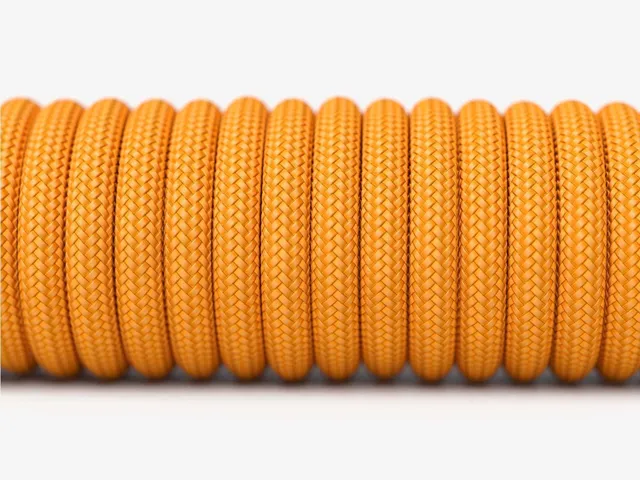Ascended Cord V2 - Gold