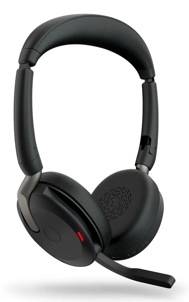 Evolve2 65 Flex UC Stereo