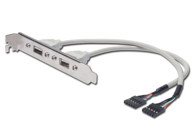ASSMANN - USB panel - 5 pin in-line to USB - 25 cm
