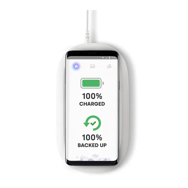 iXpand Wireless Charger - USB-flashenhet m