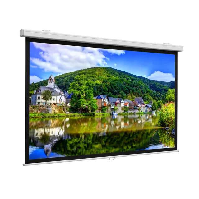 Projecta ProScreen CSR 131x210 Matte Whi