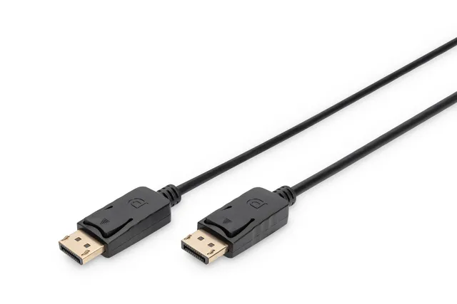 DisplayPort 1.1a Cable - 10m