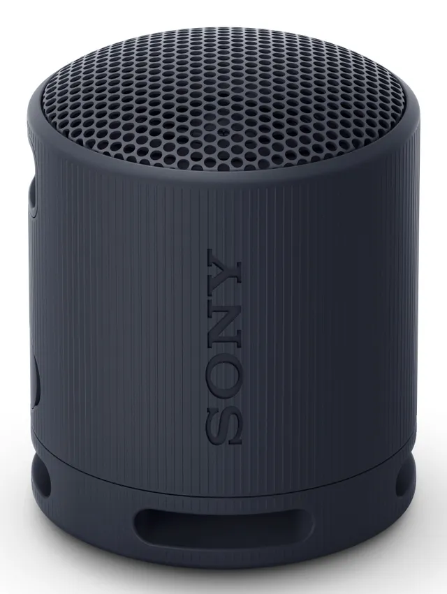 SRS-XB100 bluetooth-högtalare (svart)
