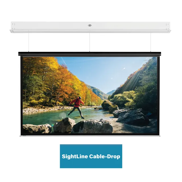 Projecta DescenderPro SightLine 231x370