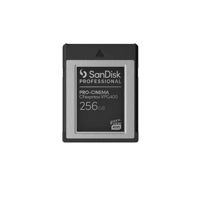 Professional - Flash-minneskort - 256 GB - CFexpress, typ B - svart