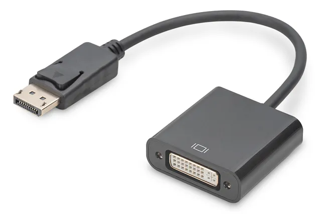 - video adapter - DisplayPort to DVI-I - 15 cm