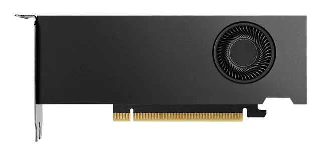 RTX 2000 Ada - 16GB GDDR6 RAM - Grafikkort
