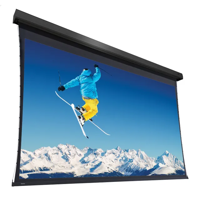 Projecta Cinema Electrol High Contrast S - Projektorduk - motoriserad - 120" (305 cm)