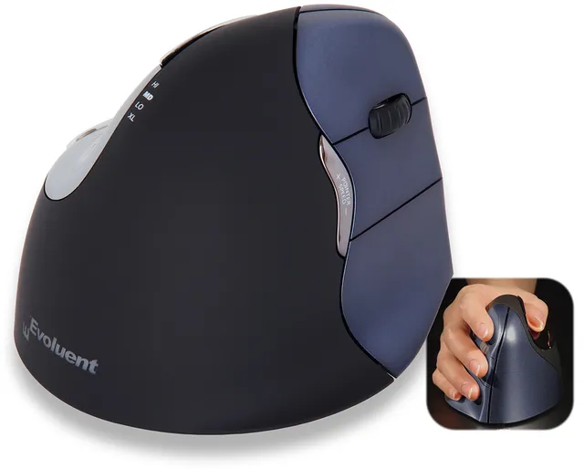 Mouse