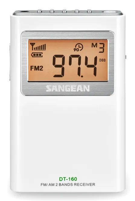 DT-160 FM/AM fickradio med 3 års garanti