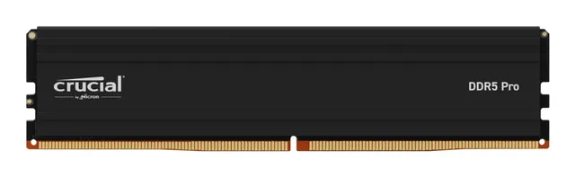Pro - DDR5 - modul - 24 GB - DIMM 288-pin låg - 6000 MT/s / PC5-48000 - CL48 - 1.1 V - ej buffrad - on-die ECC - mattsvart