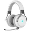 Virtuoso RGB Wireless High-Fidelity Gaming Headset Vit