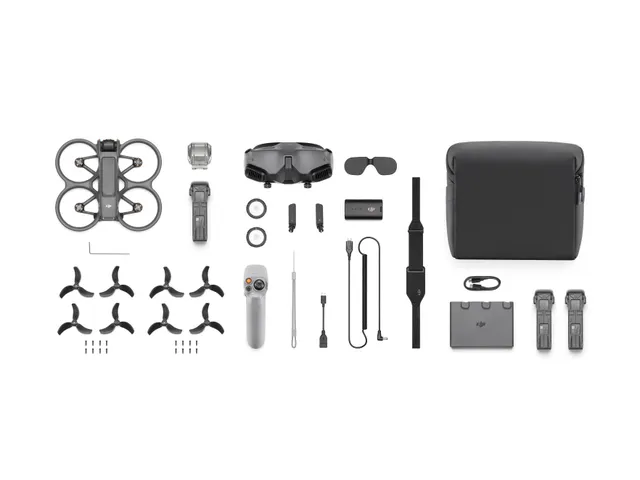 DJI - Avata 2 Pro-View Combo + Googles 2 & RC Motion 2 - 377 g - C1