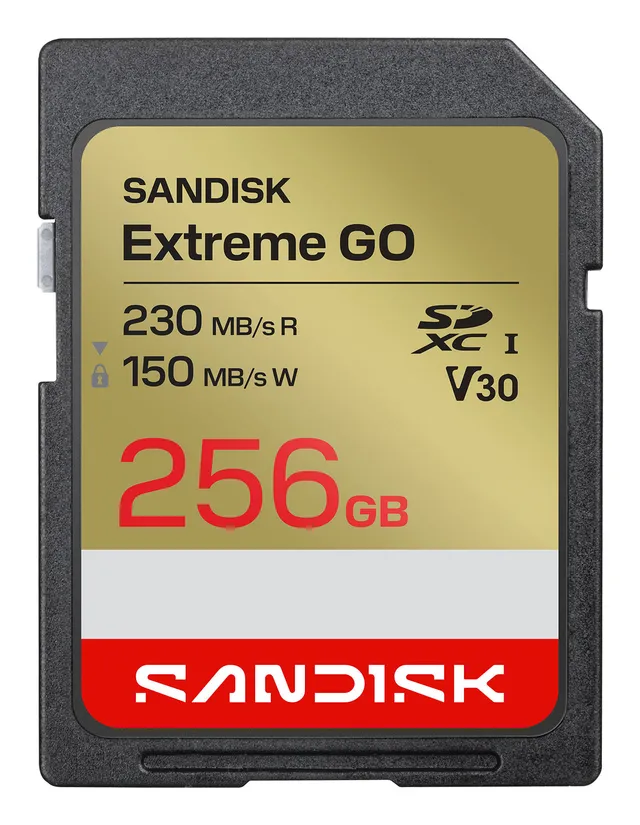 Extreme Go - Flash-minneskort - 256 GB - V