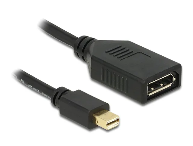 - DisplayPort-adapter - DisplayPort (hona)