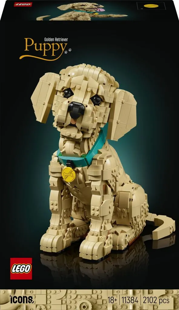 Icons Golden retriever-valp 11384