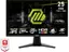 MSI 25" 255XF IPS 1080p 300 Hz