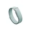 Fitbit Air Fog